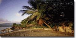 http://www3.latesttraveloffers.com/images/rot33.jpg